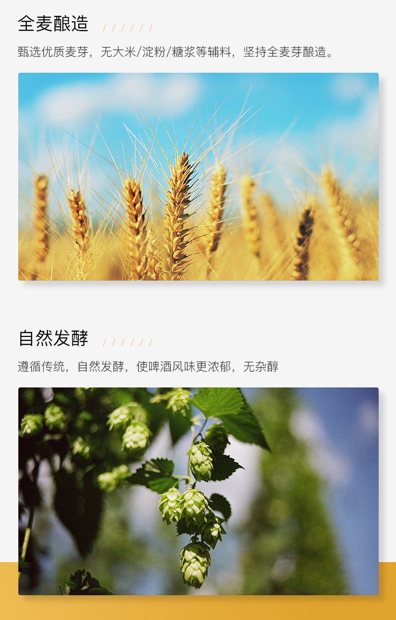 锐马703切片_05.jpg