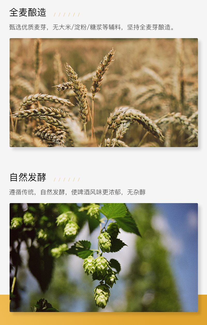 锐马702切片_05.jpg