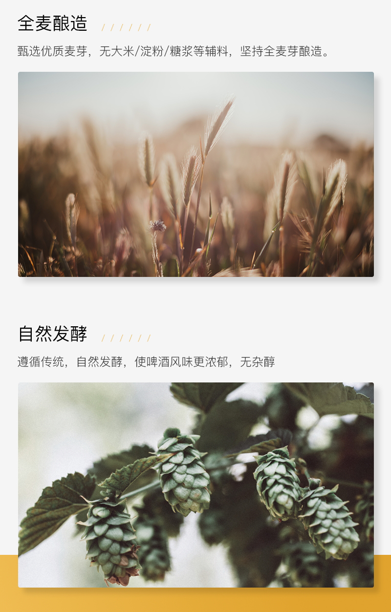 锐马701切片_05.jpg